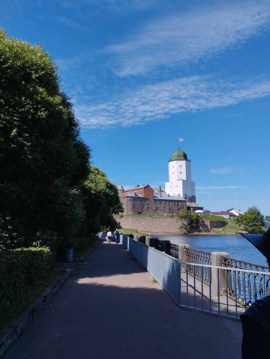 Это мы идем к замку. Башня Олафа, как видно, ещё не в лесах. В этом году - уже на реставрации. 