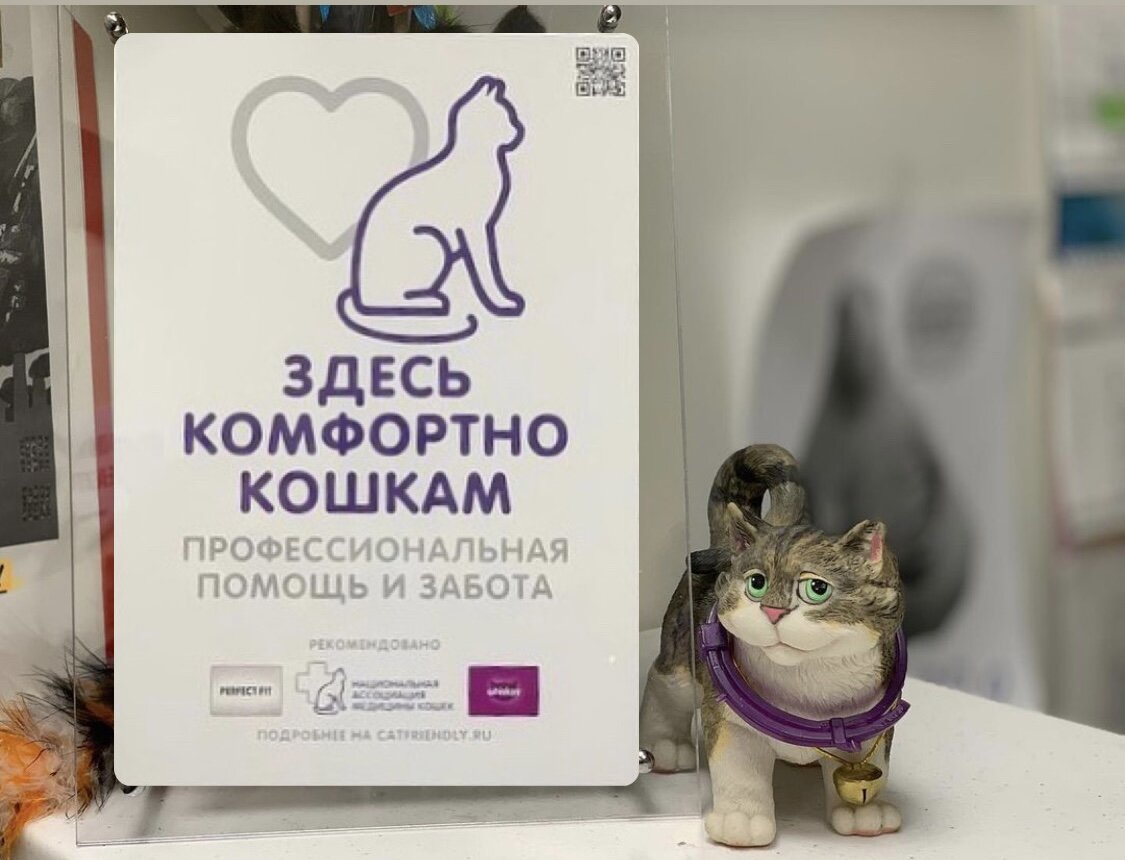 Ветеринарная клиника Кот ДаВинчи