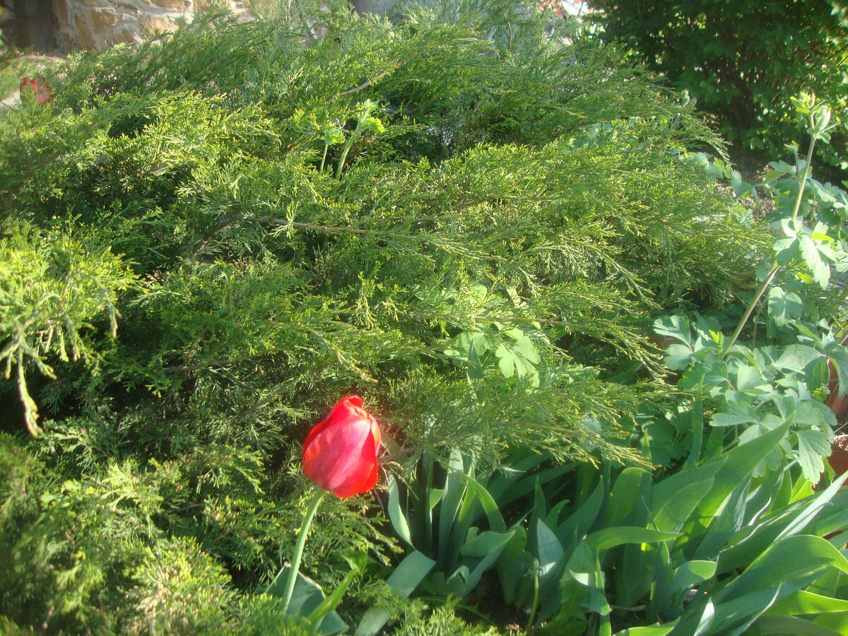 майская фотка