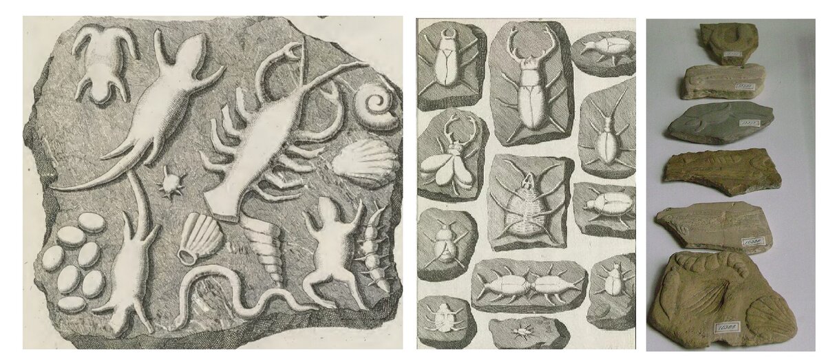 Изображение "лживых камней"