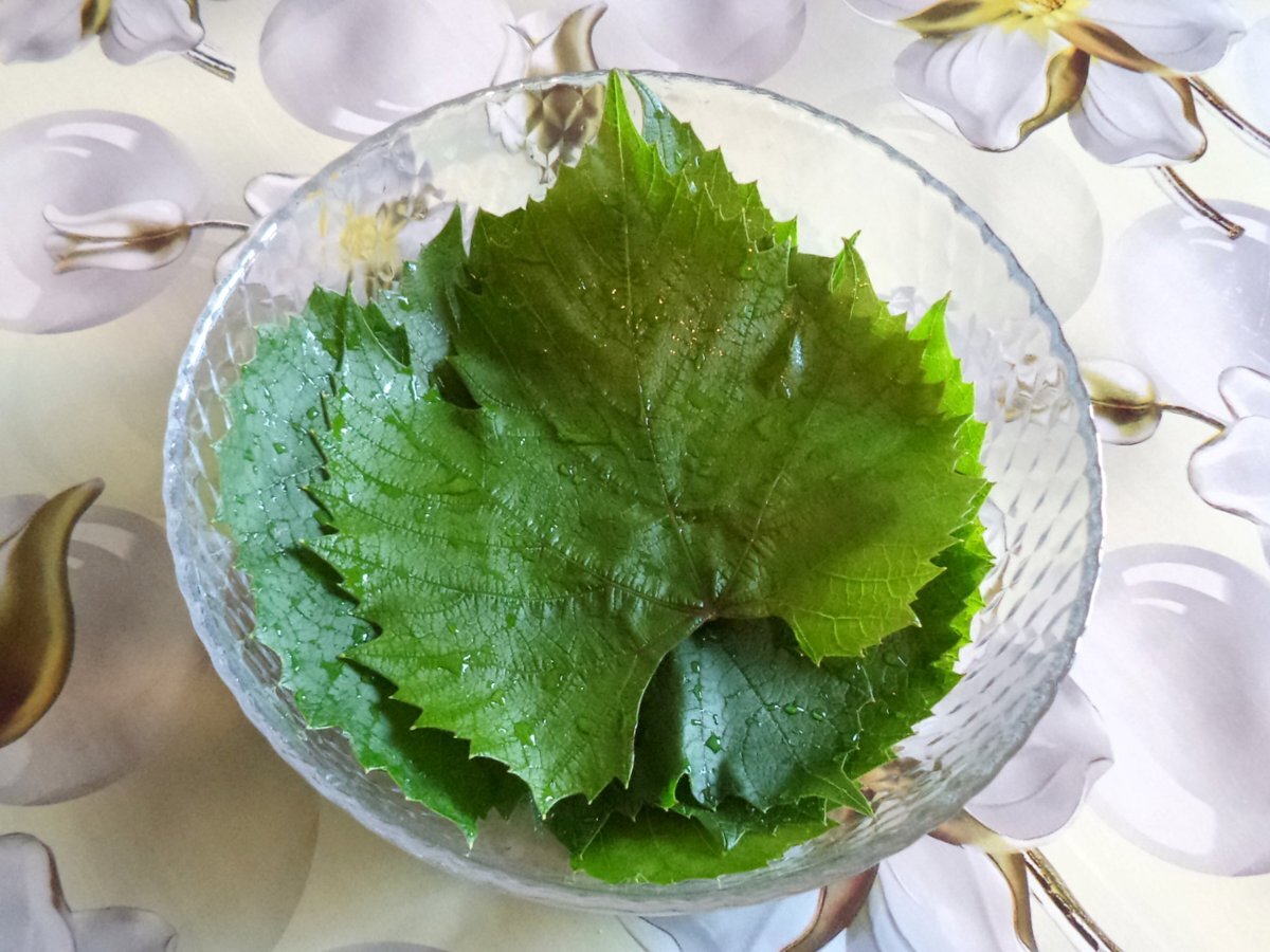 Сыр, маринованный в красном вине с виноградными листьями | Вкусномир -  домашние рецепты. | Дзен