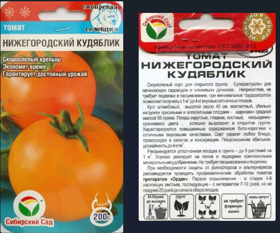 семена томата нижегородский кудяблик. томат кудяблик характеристика. помидоры кудяблик нижегородский. нижегородский кудяблик. нижегородский кудяблик.
