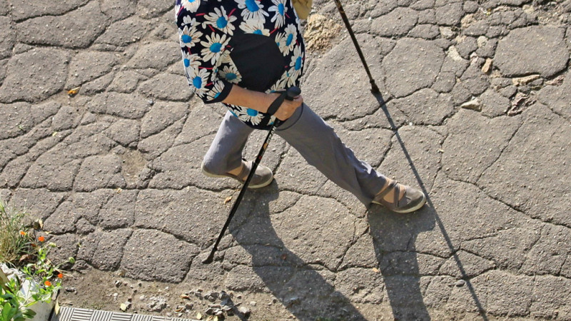     Скандинавская ходьба. Михаил Хаустов