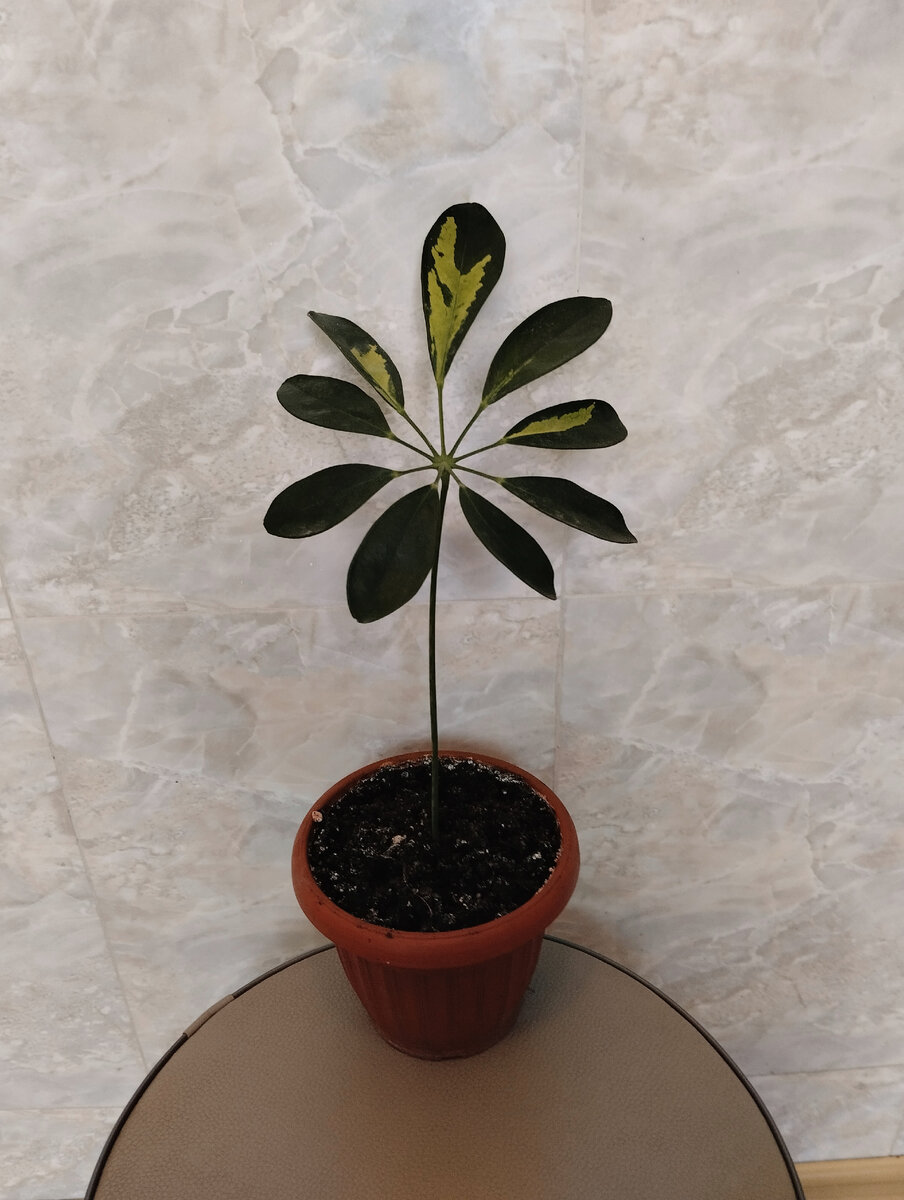 Фото автора.