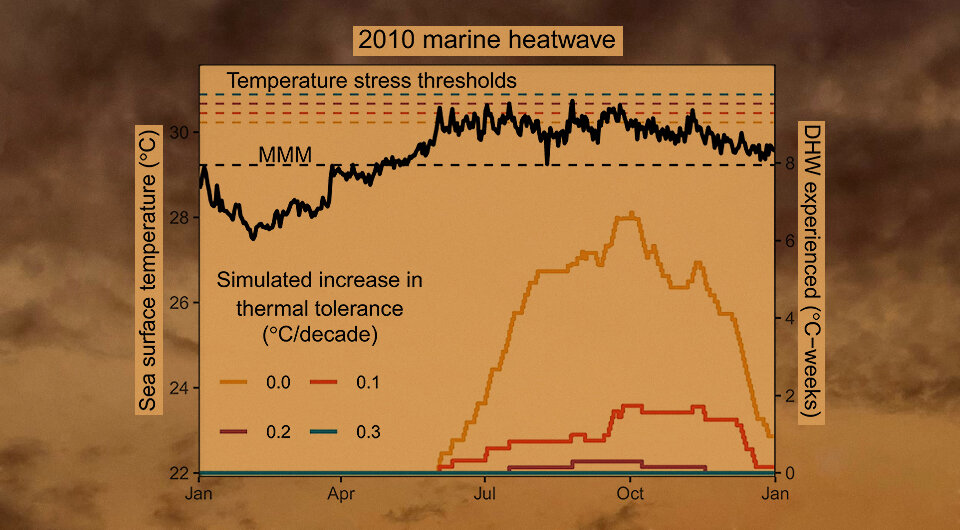   N + 1; Liam Lachs et al. / Nature Communications, 2023