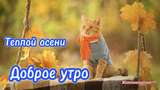 доброе утро