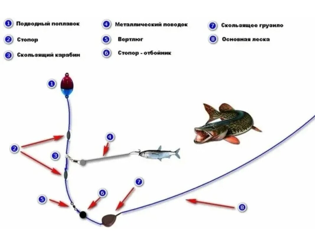 Оснастки на ловлю щуки