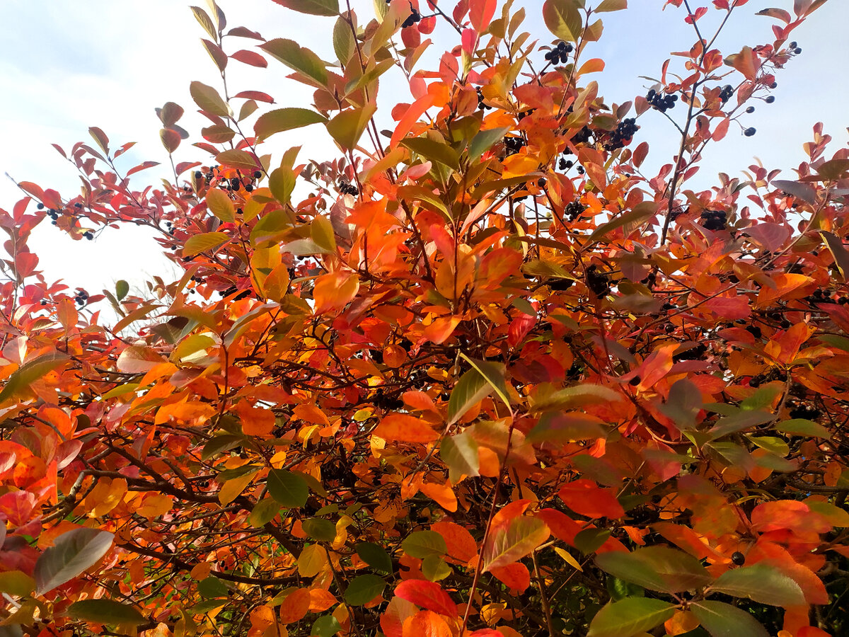 Фото: Maksim Konstantinov/globallookpress.com