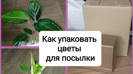Доставка цветов ❤ в Симферополе | Купить или заказать цветы с быстрой доставкой