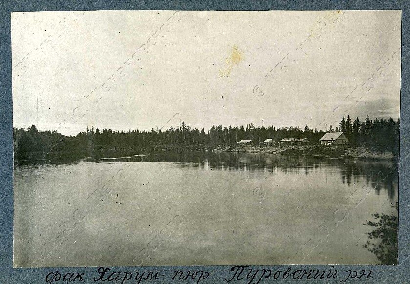 Фотография предоставлена П. Колесниковым