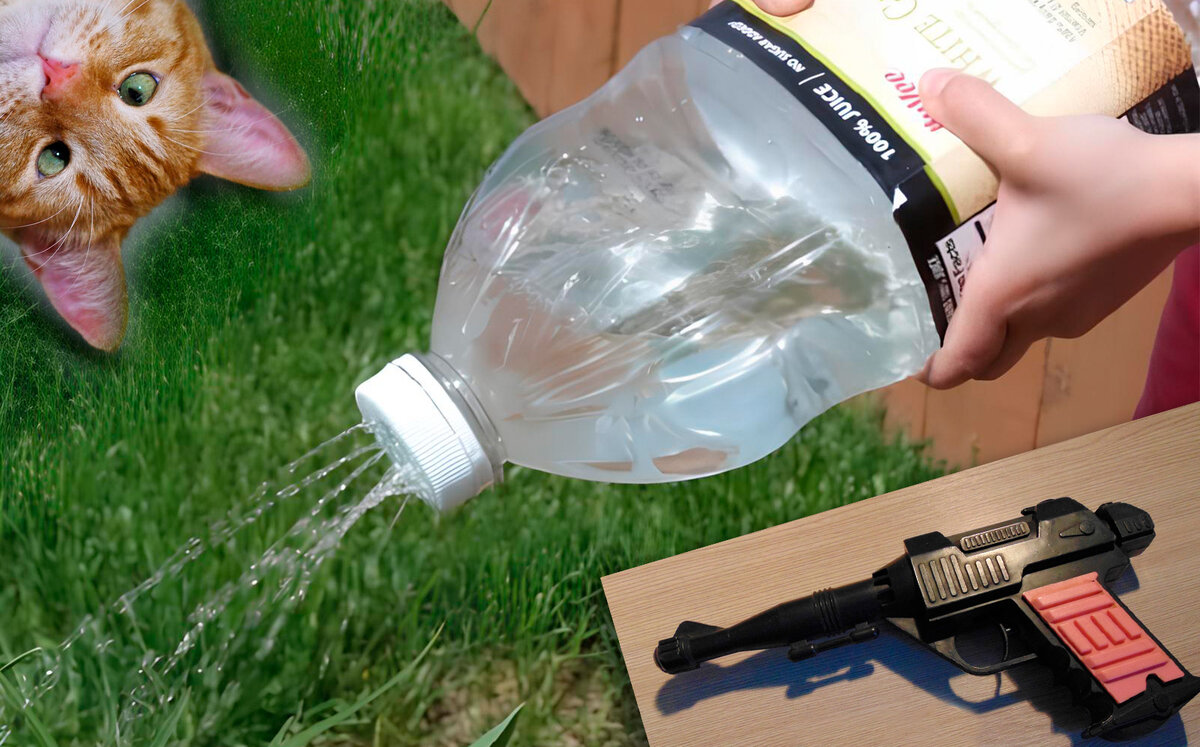 Фото с просторов интернета