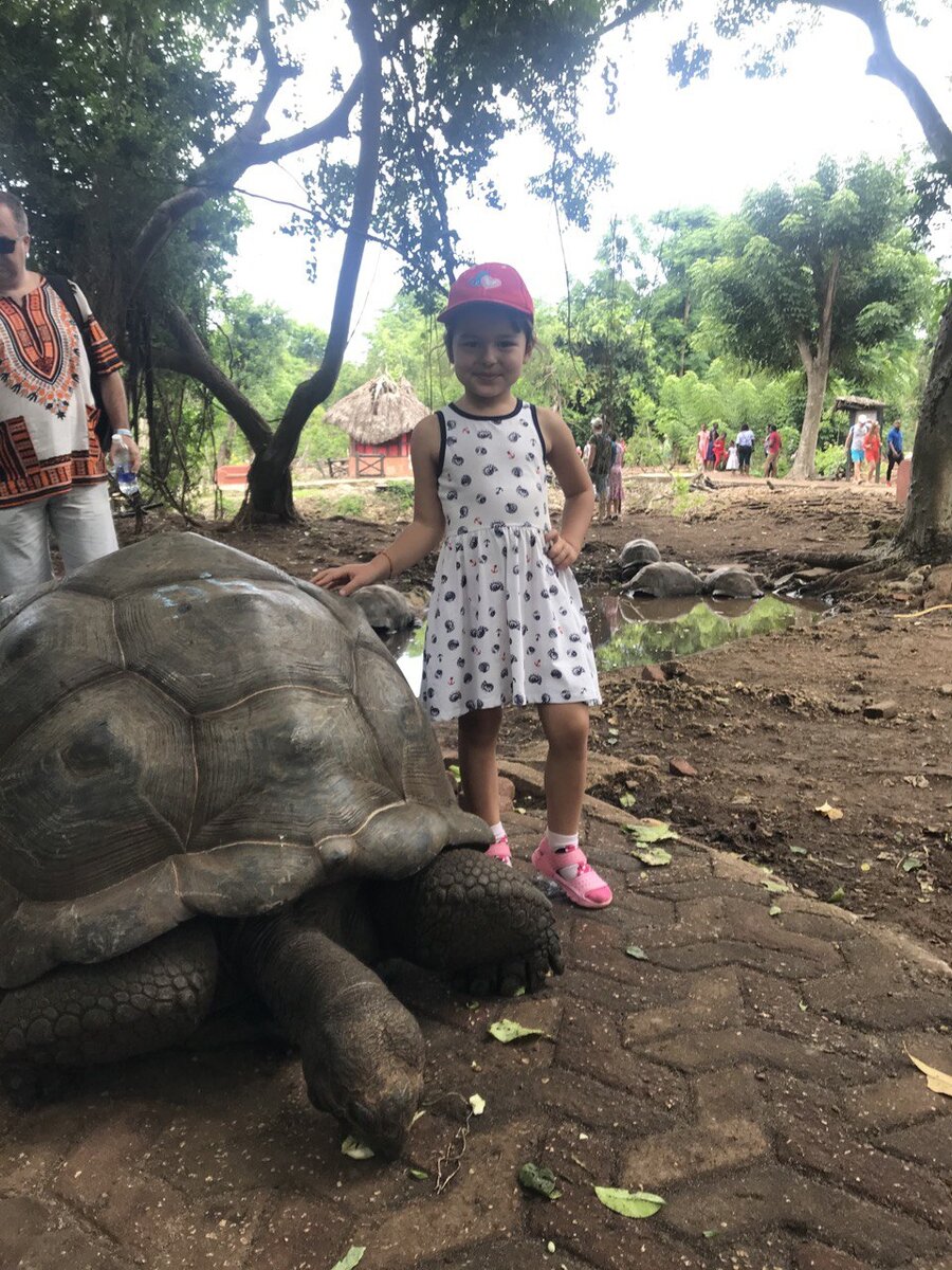 Остров Занзибар, расположенный у побережья Танзании, известен своей невероятной природной красотой и уникальной фауной. Одним из самых захватывающих аспектов острова являются его обитатели - Сейшельские черепахи. Эти огромные и древние существа притягивают внимание туристов со всего мира своими размерами и удивительной историей. Давайте рассмотрим, почему Сейшельские черепахи стали настоящей жемчужиной Занзибара и какие удивительные факты о них мы можем узнать.