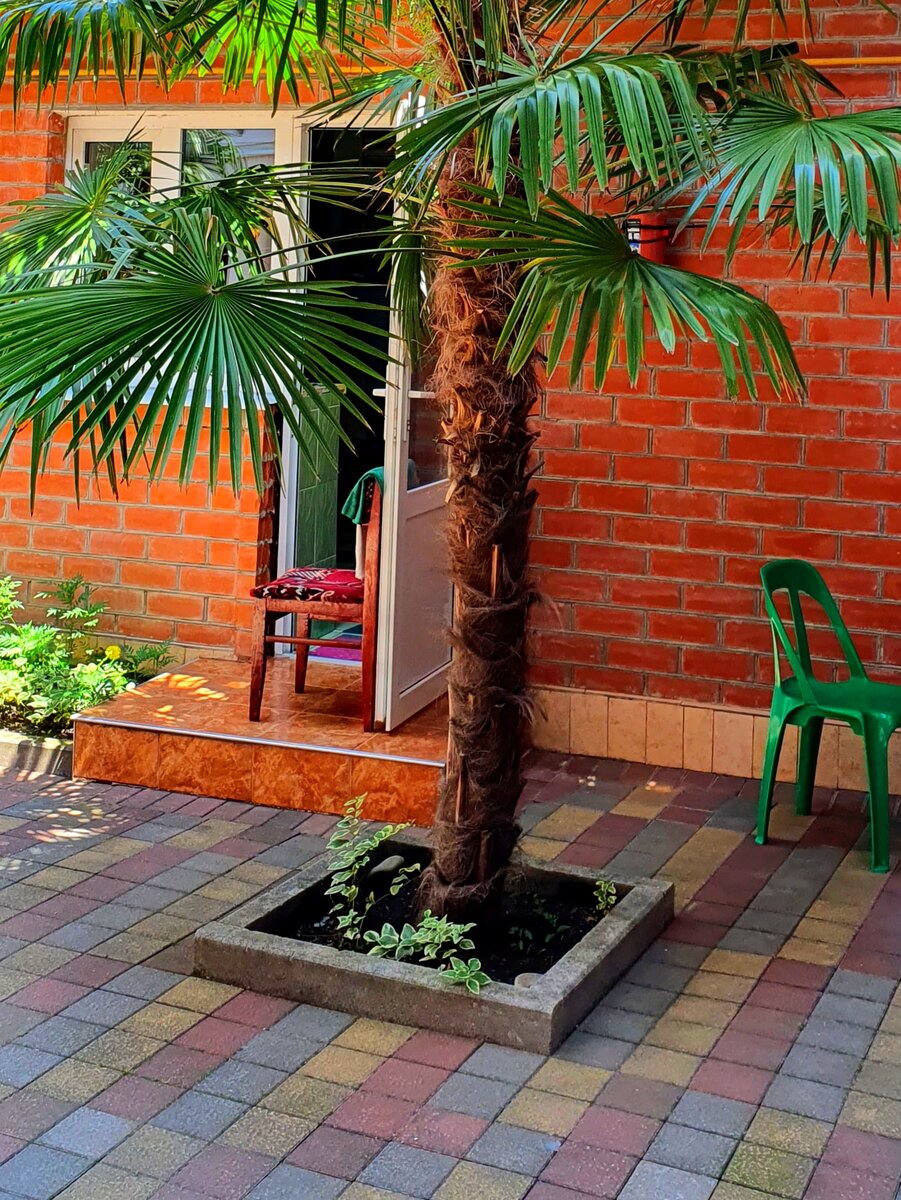 фото автора.