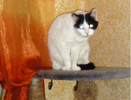 Жирок-то на пузике, видите какой