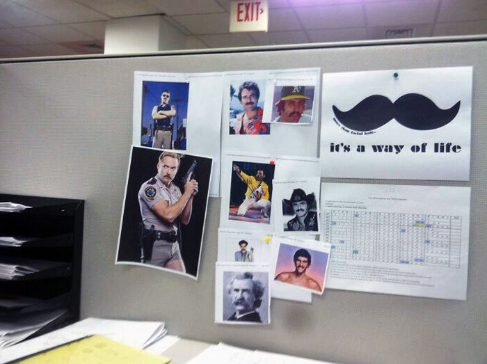 Источник: https://www.reddit.com/r/pics/comments/xg6dp/yesterday_i_came_into_work_with_a_mustache_today