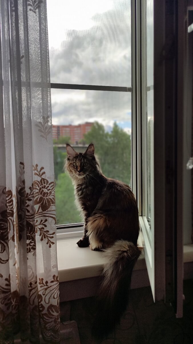 Тут столько новых запахов) 