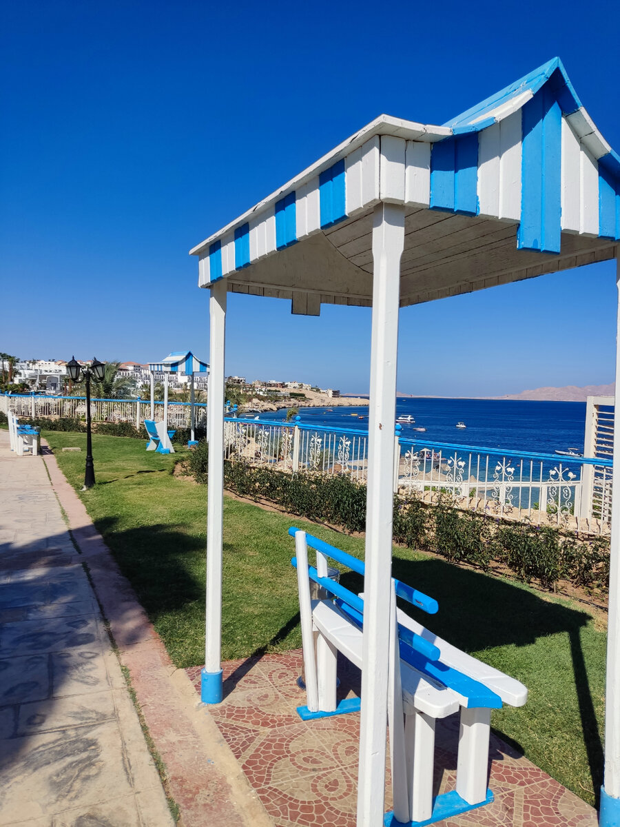 Красота Красного моря привлекает любителей снорклить. Немаловажно выбрать побережье с красивым и живым рифом. Island view resort является таким местом. 