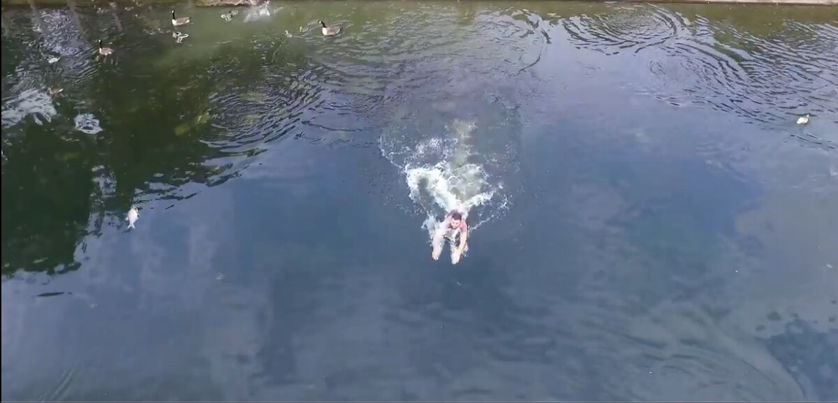 Красиво плывут! — Кто? — Вон та группа в полосатых купальниках. "Полосатый рейс"