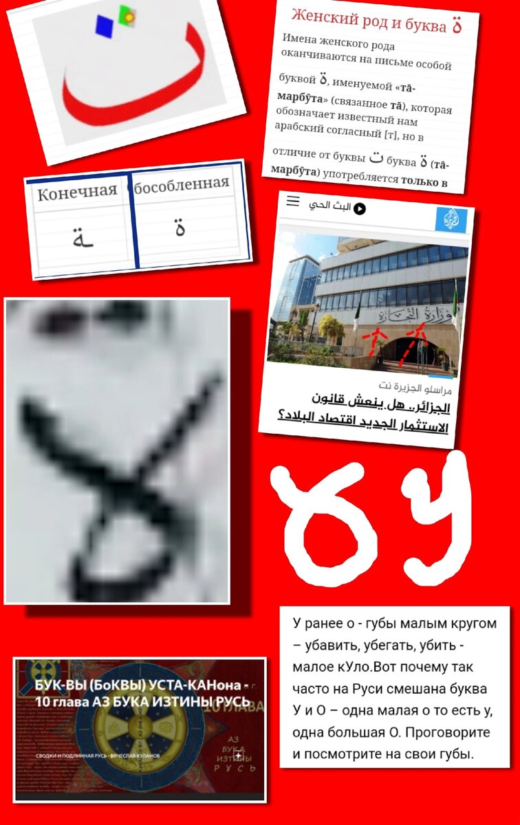 Арабская буква "т", арабская буква "та-марбута" (связанная "т"), ещё один вариант написания "та-марбута" с вывески министерства в Алжире, скрин видео Куланова про древне-русскую букву "у" как "о" с "завязочками"