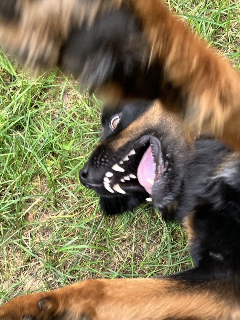 Наследие Веков Аюр