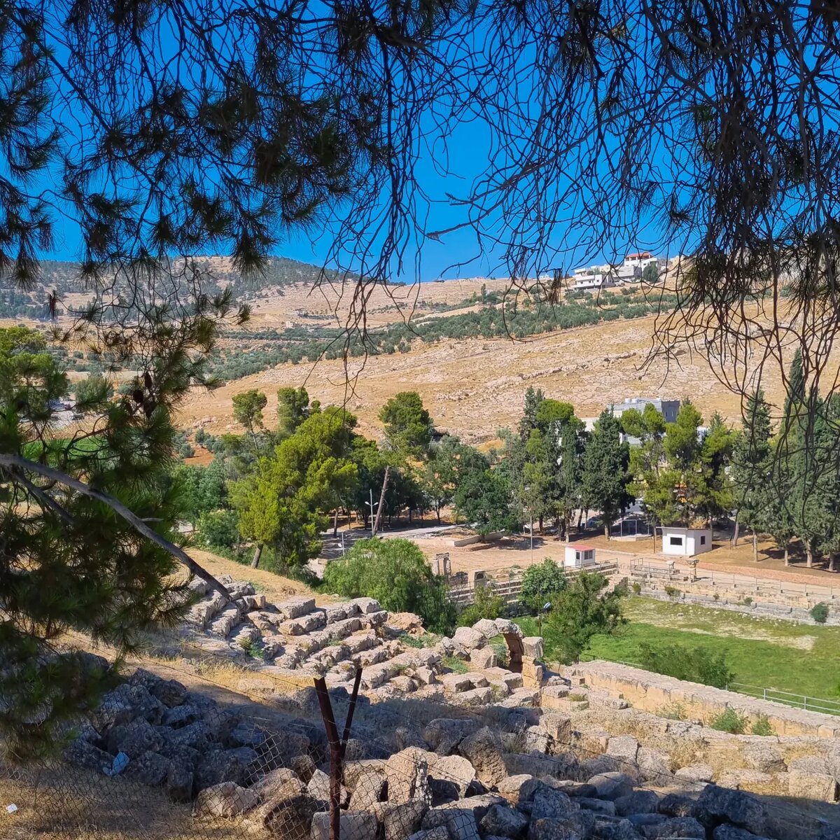 Вид на бассейн с высоты римского театра, Джераш, Иордания (фото автора)