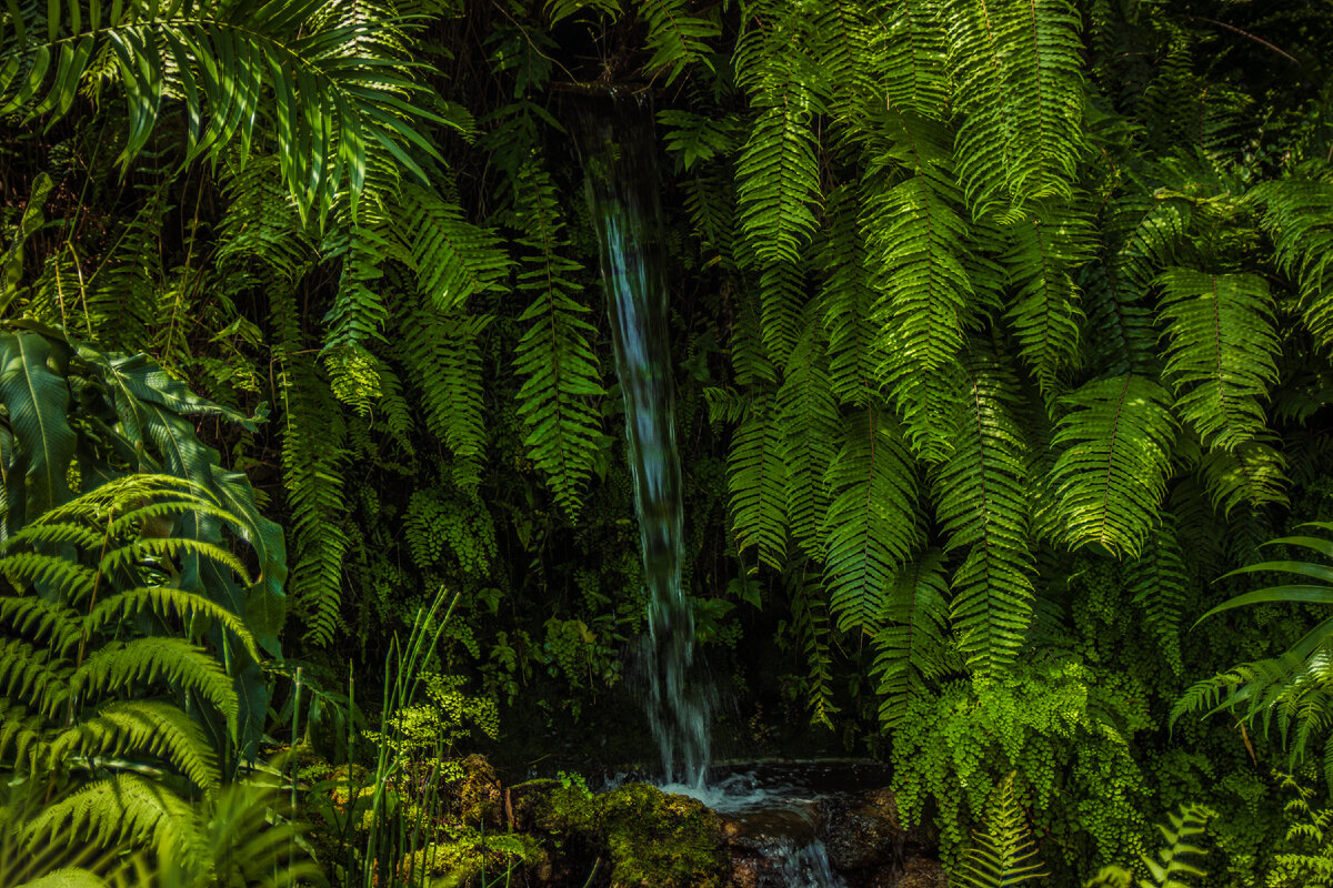 Фото: pxhere