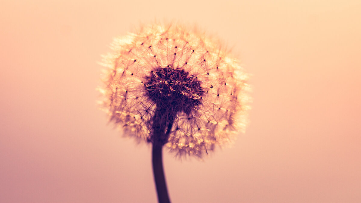 Любовь - состояние включения в мир, сопереживания.