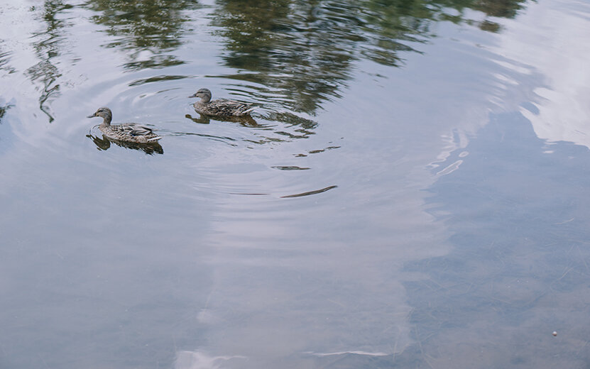   Погода в Ижевске на день: 17 июля возможны дожди и грозы