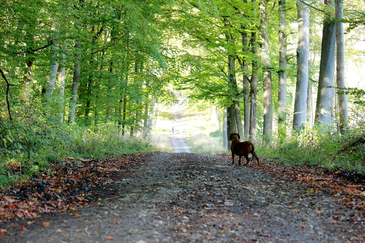 Фото с прогулки