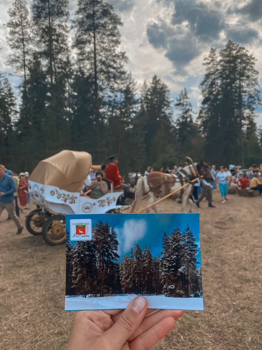 Вот такие красивые открытки можно было приобрести бесплатно. Самые разные пейзажи были запечатлены на фотокарточках. Мне очень понравился зимний лес, поэтому выбрала эту.