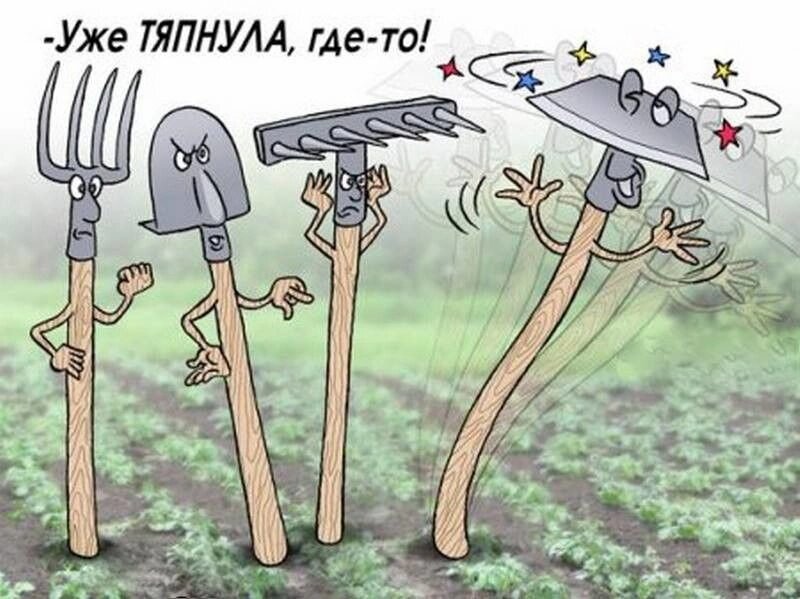 Суббота дача картинки прикольные