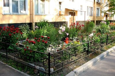    Двор жилого дома в Люберцах © Сайт администрации г.о. Люберцы