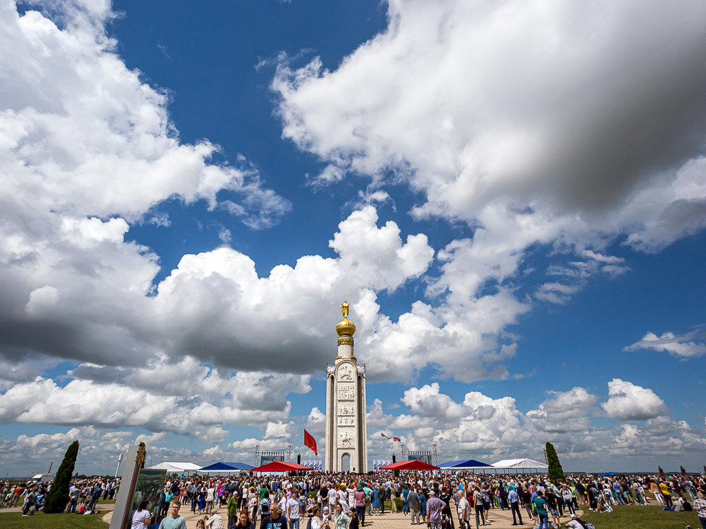 Птица Белгородской области Прохоровка