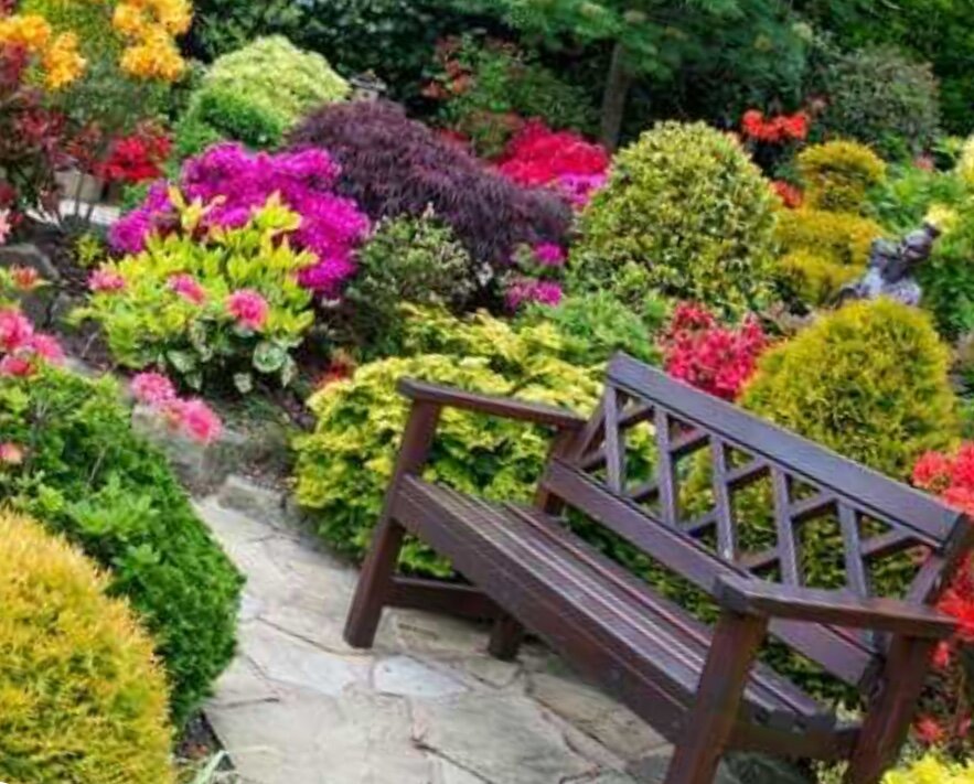 Украшение сада растениями