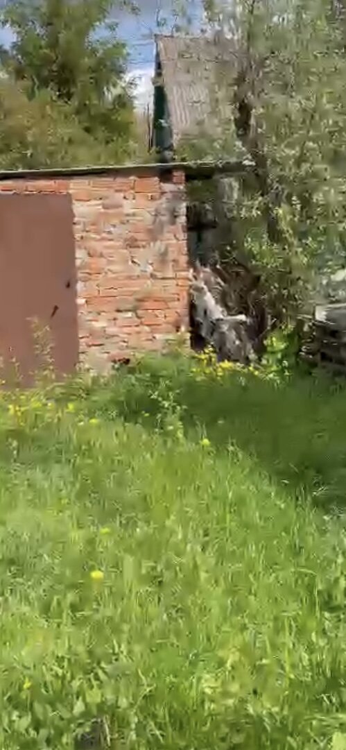 Двор перед домом.