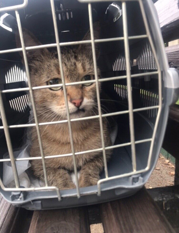 Добавьте описание