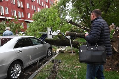   Сломанное ураганом дерево на одной из улиц в Москве. ©Илья Питалев РИА Новости