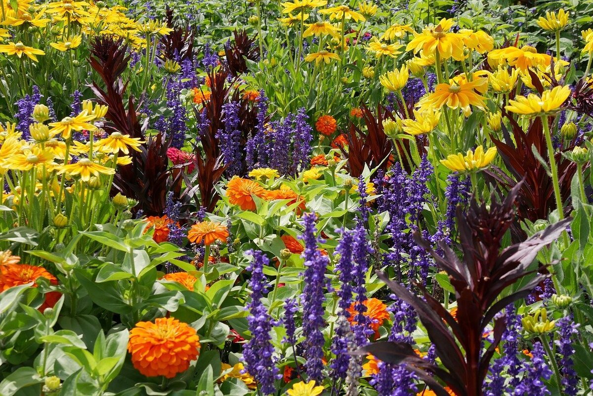 Список многолетних цветов для сада с фото