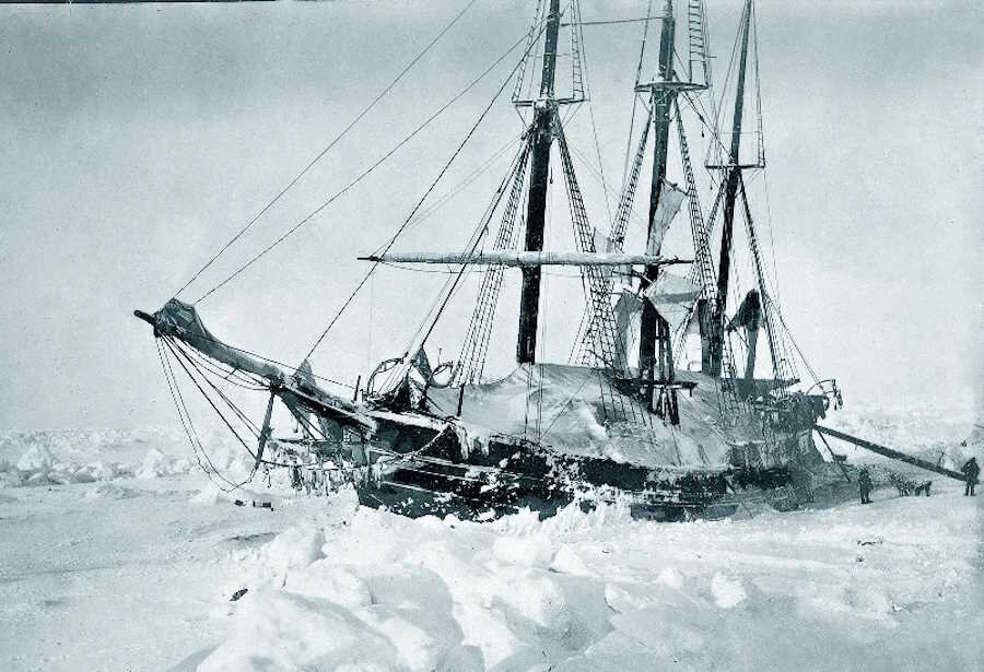 Яндекс Картинки