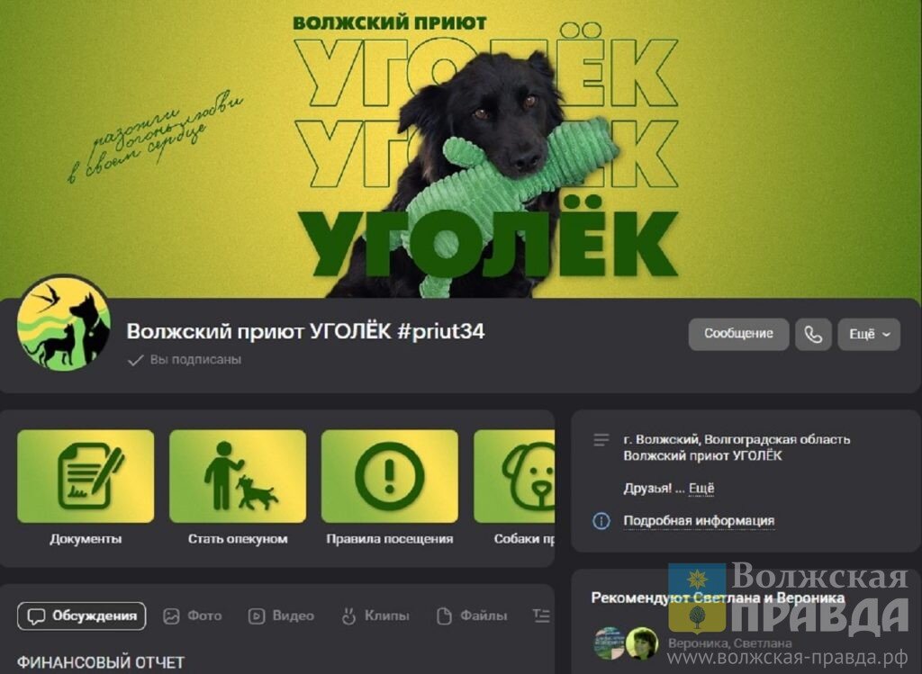 Приют уголек. Приют для животных Волжский.