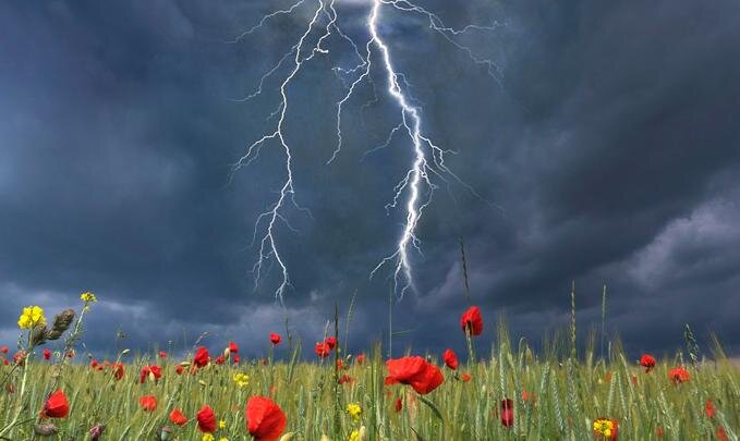 Фото: Manfred Bail/Globallookpress