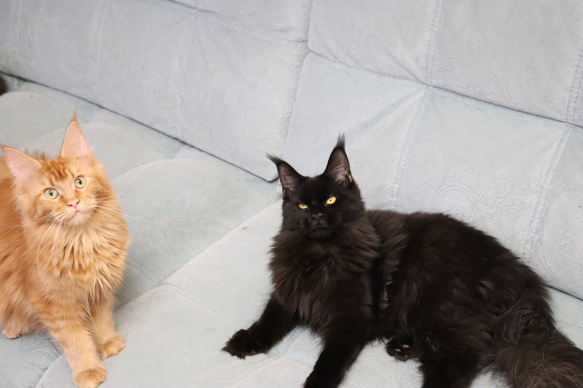 Фото из личного архива.