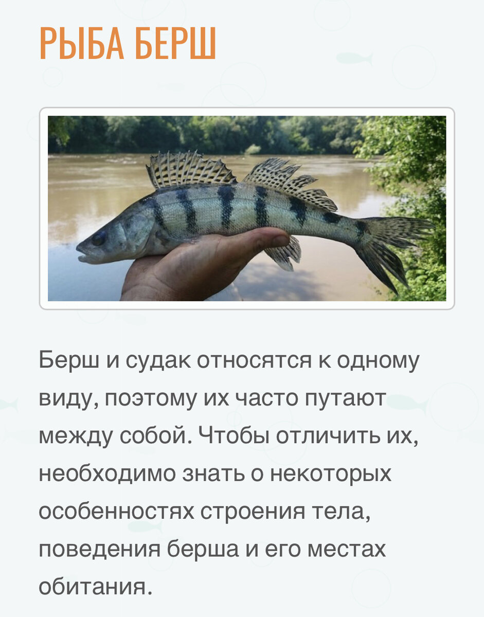 Скриншот автора