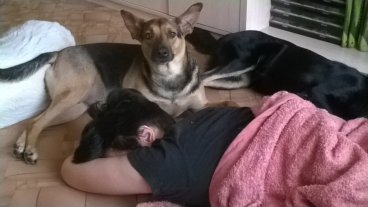 Счастье Умное пристроилось попой на Счастье Белом, головой на Счастье Мечтешизофреника и охраняет Счастье Родное. Ну, на то оно и Умное:)))