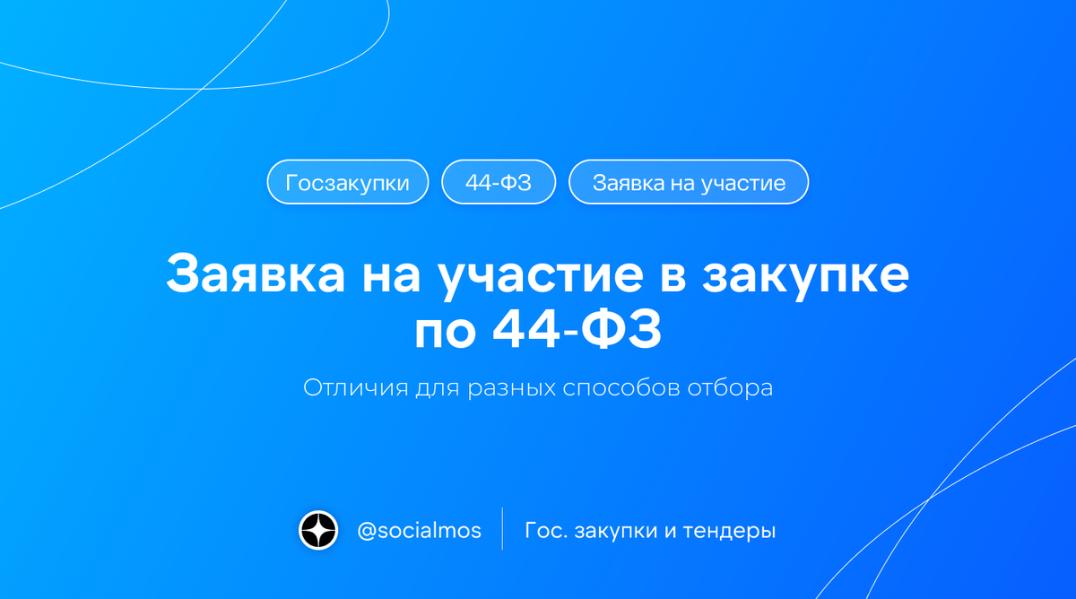 Электронный аукцион по 44-ФЗ: пошаговый алгоритм для заказчиков и поставщиков