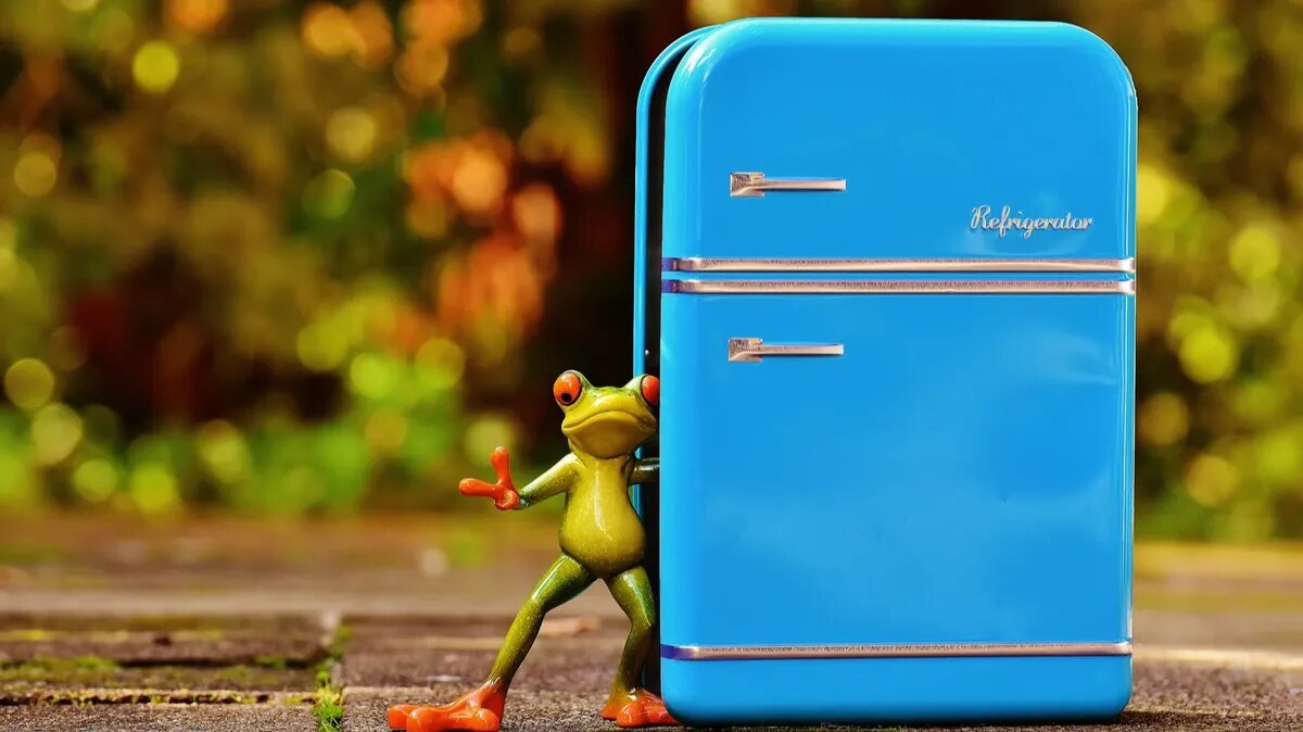 Любая техника нуждается в уходе. Фото: pxhere.com