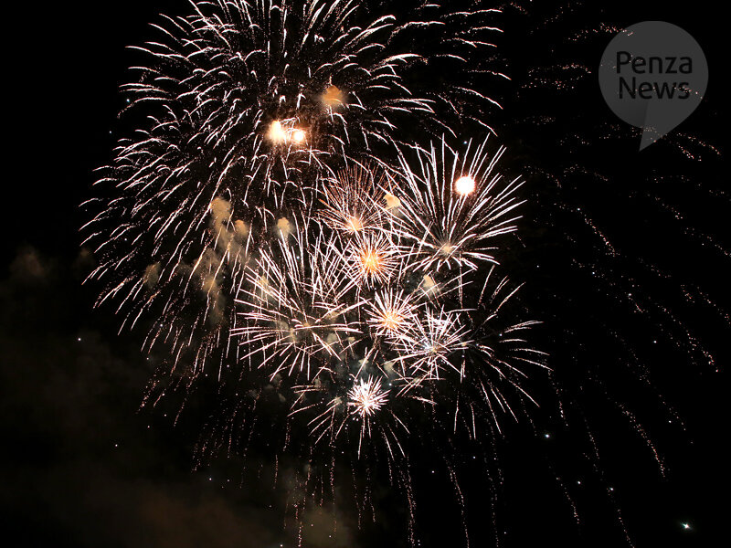    © Фото из архива ИА «PenzaNews»