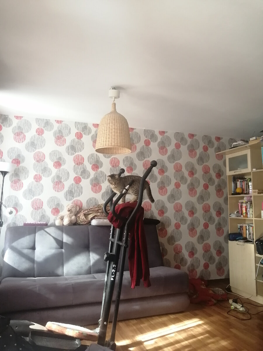 Фото апартаментов автора