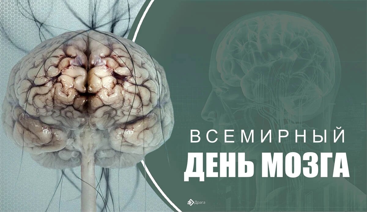 Всемирный день мозга. Иллюстрация: «Курьер.Среда»