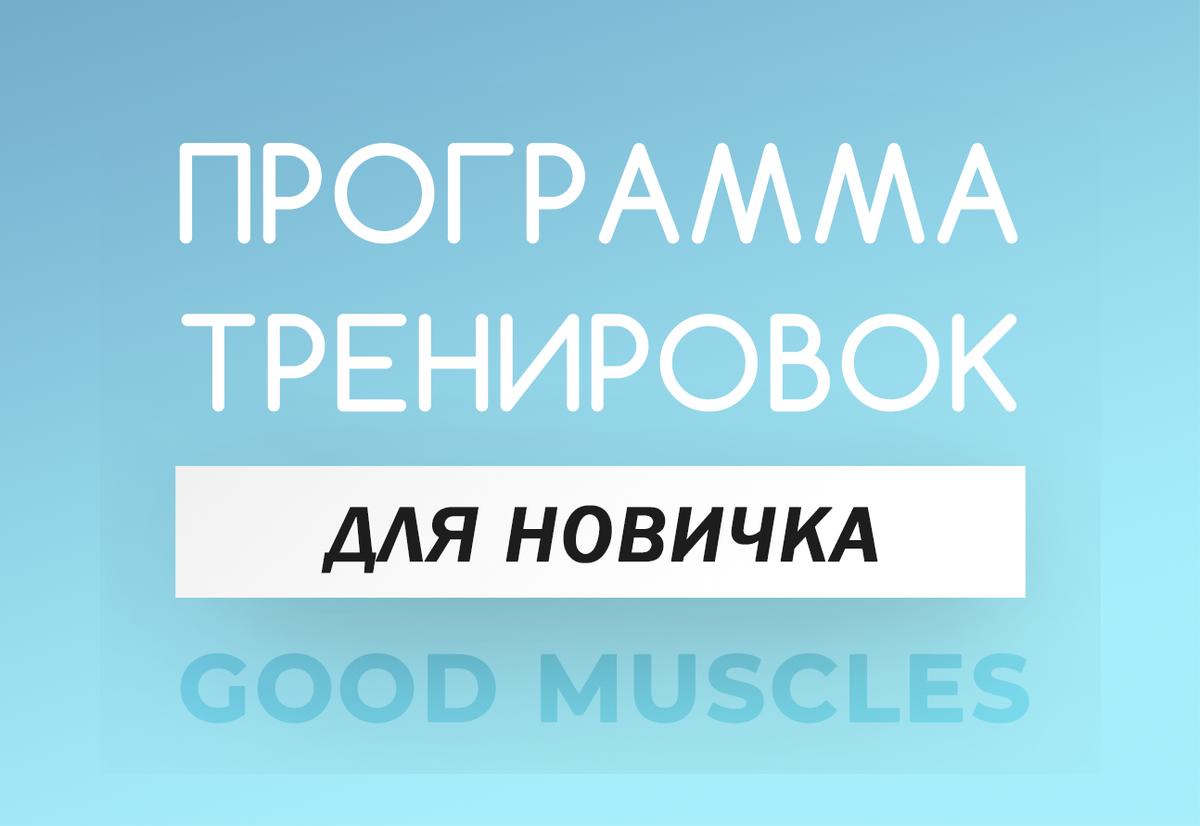 Программа тренировок для новичка. | GOOD MUSCLES | Дзен